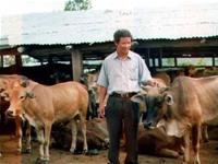 เกษตรกรจังหวัดยาลายพัฒนาการเลี้ยงโคขุนเพื่อแก้ปัญหาความยากจน